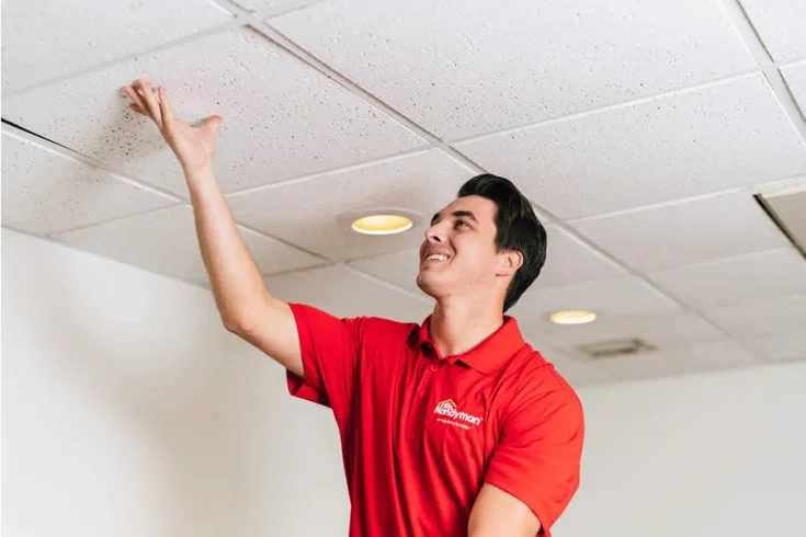 Mr. Handyman Customer Testimonial 30 Seconds