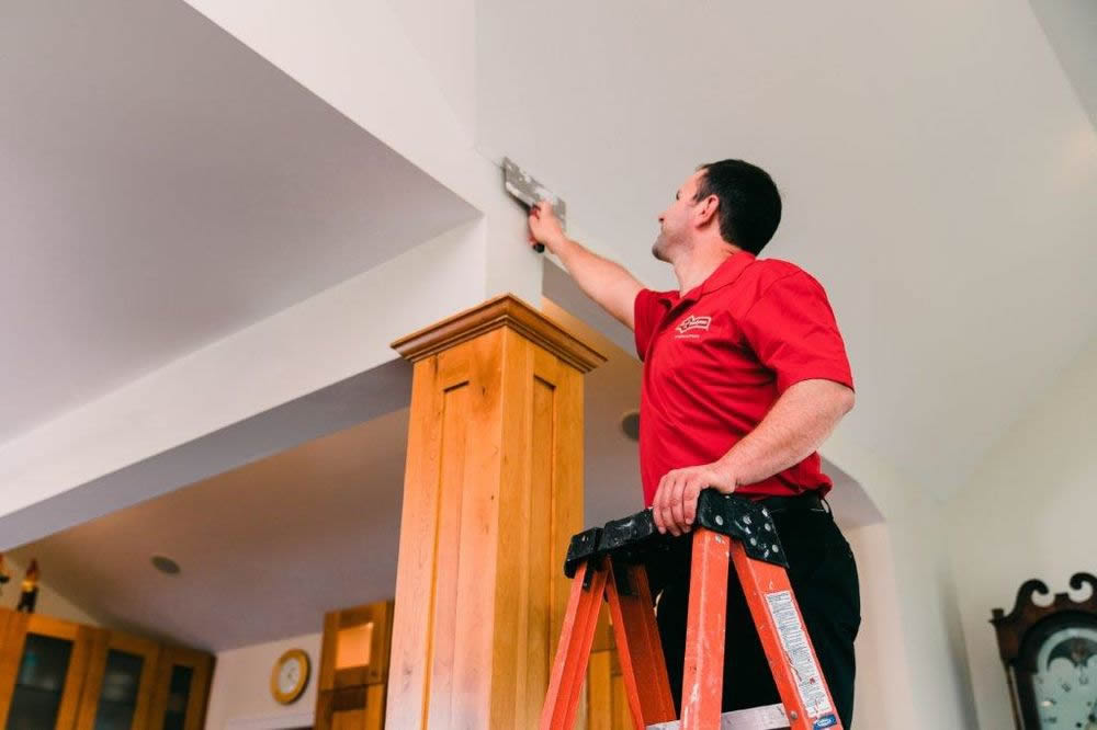 Ceiling Repair
